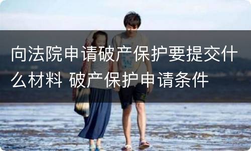 向法院申请破产保护要提交什么材料 破产保护申请条件