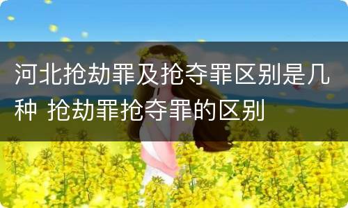 河北抢劫罪及抢夺罪区别是几种 抢劫罪抢夺罪的区别