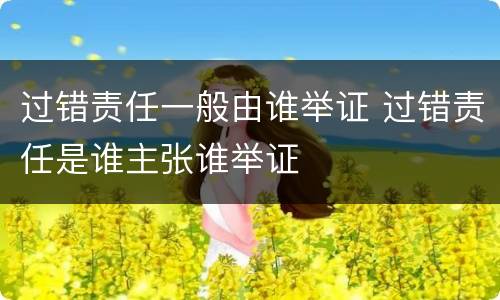 过错责任一般由谁举证 过错责任是谁主张谁举证