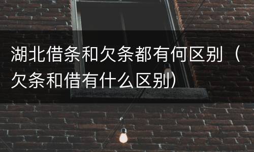 湖北借条和欠条都有何区别（欠条和借有什么区别）