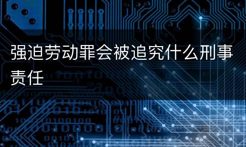 强迫劳动罪会被追究什么刑事责任