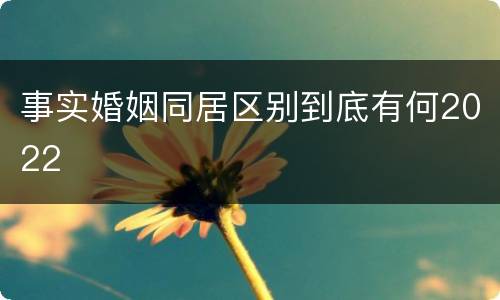 事实婚姻同居区别到底有何2022