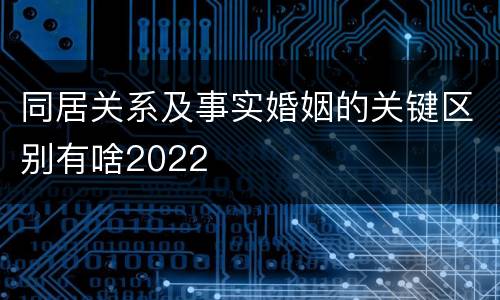 同居关系及事实婚姻的关键区别有啥2022
