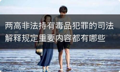 两高非法持有毒品犯罪的司法解释规定重要内容都有哪些
