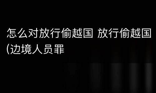 怎么对放行偷越国 放行偷越国(边境人员罪