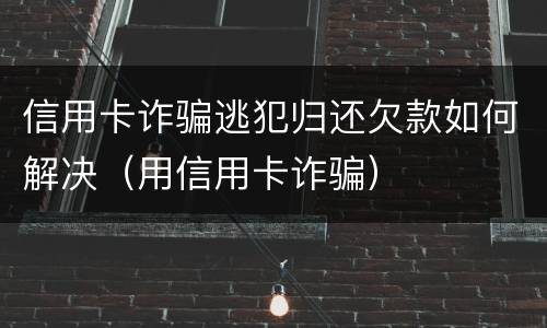 信用卡诈骗逃犯归还欠款如何解决（用信用卡诈骗）