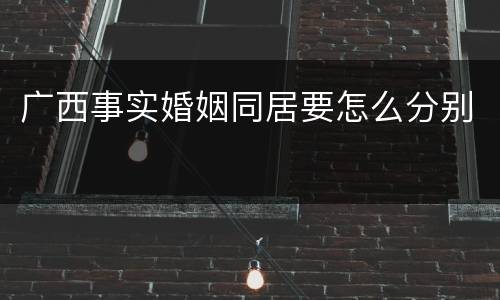 广西事实婚姻同居要怎么分别