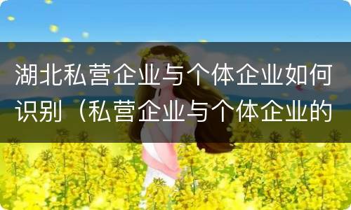 湖北私营企业与个体企业如何识别（私营企业与个体企业的区别）