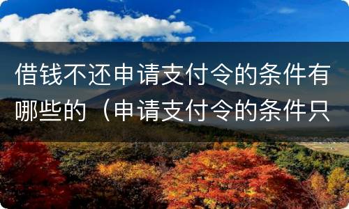 借钱不还申请支付令的条件有哪些的（申请支付令的条件只能向借款人）