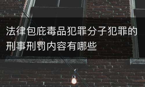 法律包庇毒品犯罪分子犯罪的刑事刑罚内容有哪些