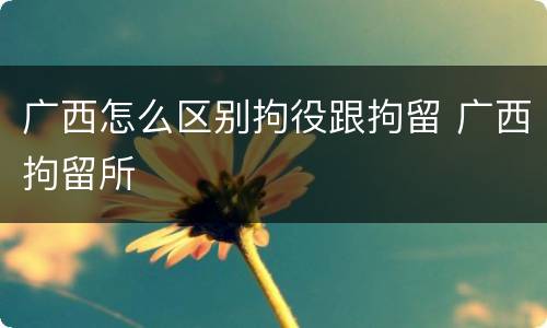 广西怎么区别拘役跟拘留 广西拘留所