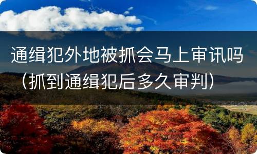 通缉犯外地被抓会马上审讯吗（抓到通缉犯后多久审判）