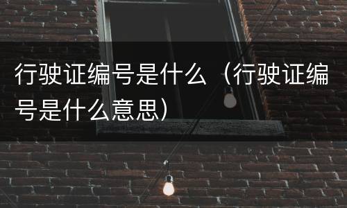 行驶证编号是什么（行驶证编号是什么意思）