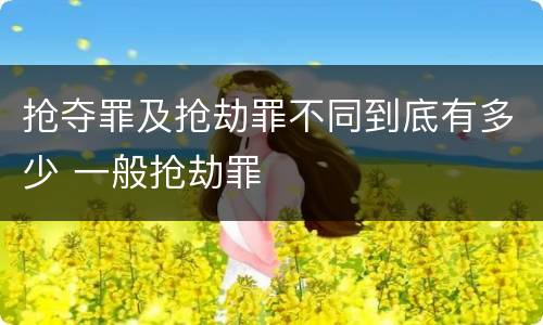抢夺罪及抢劫罪不同到底有多少 一般抢劫罪