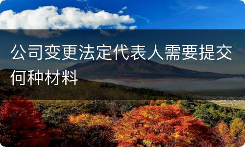 公司变更法定代表人需要提交何种材料