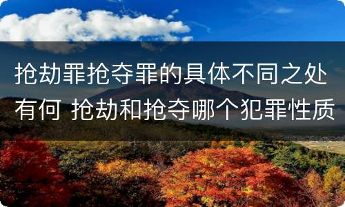 抢劫罪抢夺罪的具体不同之处有何 抢劫和抢夺哪个犯罪性质严重