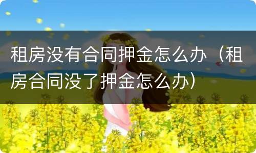租房没有合同押金怎么办（租房合同没了押金怎么办）