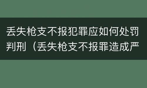 丢失枪支不报犯罪应如何处罚判刑（丢失枪支不报罪造成严重后果）