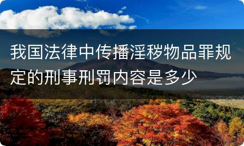 我国法律中传播淫秽物品罪规定的刑事刑罚内容是多少