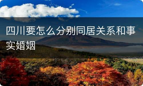 四川要怎么分别同居关系和事实婚姻
