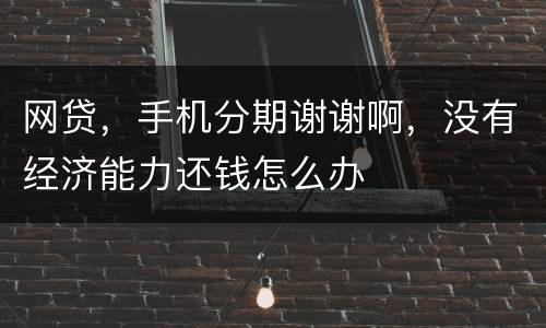 网贷，手机分期谢谢啊，没有经济能力还钱怎么办