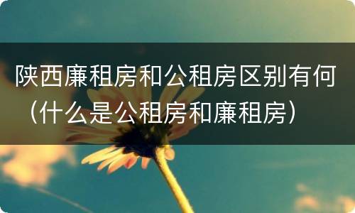 陕西廉租房和公租房区别有何（什么是公租房和廉租房）