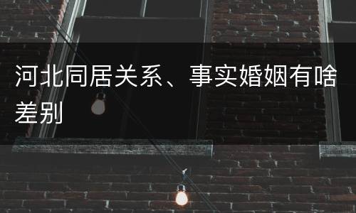 河北同居关系、事实婚姻有啥差别