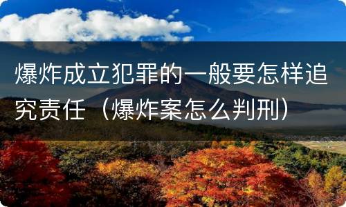 爆炸成立犯罪的一般要怎样追究责任（爆炸案怎么判刑）