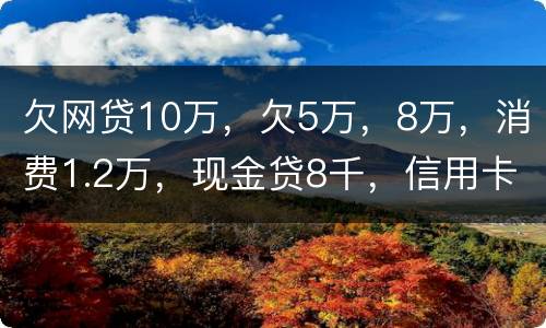 欠网贷10万，欠5万，8万，消费1.2万，现金贷8千，信用卡5万怎么办