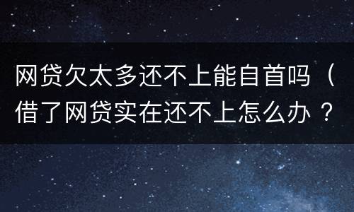 网贷欠太多还不上能自首吗（借了网贷实在还不上怎么办 ?）