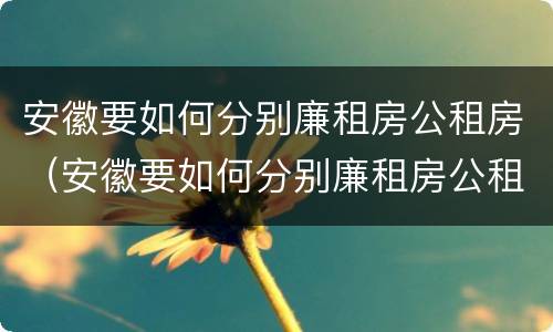 安徽要如何分别廉租房公租房（安徽要如何分别廉租房公租房和住宅）