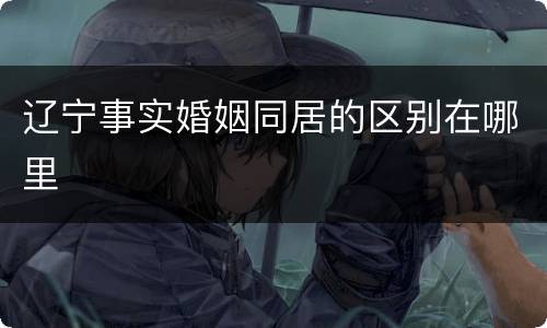 辽宁事实婚姻同居的区别在哪里