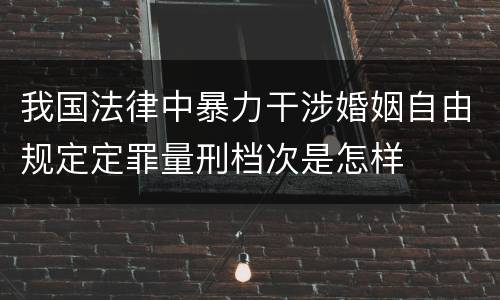 我国法律中暴力干涉婚姻自由规定定罪量刑档次是怎样