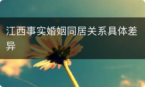 江西事实婚姻同居关系具体差异