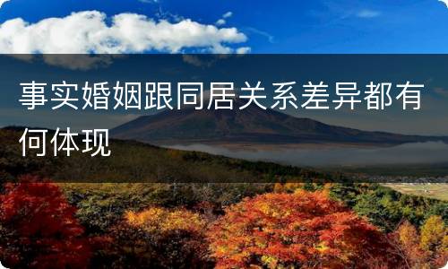 事实婚姻跟同居关系差异都有何体现