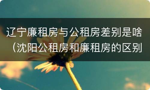 辽宁廉租房与公租房差别是啥（沈阳公租房和廉租房的区别）