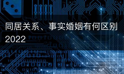 同居关系、事实婚姻有何区别2022