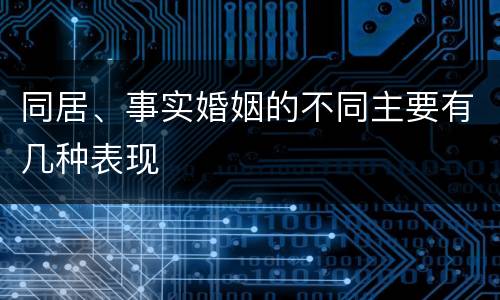 同居、事实婚姻的不同主要有几种表现