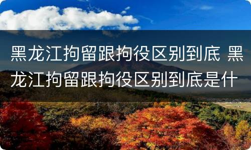 黑龙江拘留跟拘役区别到底 黑龙江拘留跟拘役区别到底是什么
