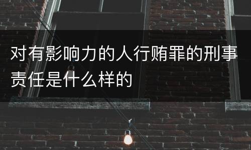 对有影响力的人行贿罪的刑事责任是什么样的