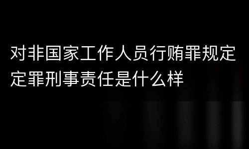 对非国家工作人员行贿罪规定定罪刑事责任是什么样