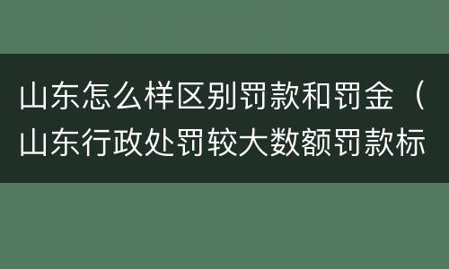山东怎么样区别罚款和罚金（山东行政处罚较大数额罚款标准）