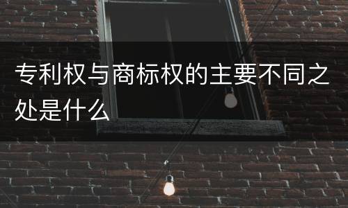 专利权与商标权的主要不同之处是什么