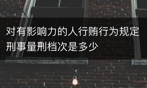 对有影响力的人行贿行为规定刑事量刑档次是多少