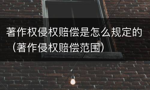 著作权侵权赔偿是怎么规定的（著作侵权赔偿范围）