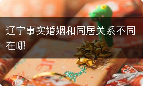 辽宁事实婚姻和同居关系不同在哪