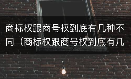 商标权跟商号权到底有几种不同（商标权跟商号权到底有几种不同）