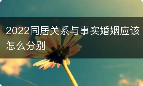 2022同居关系与事实婚姻应该怎么分别