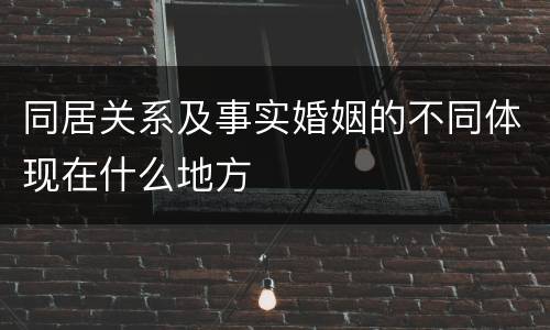 同居关系及事实婚姻的不同体现在什么地方