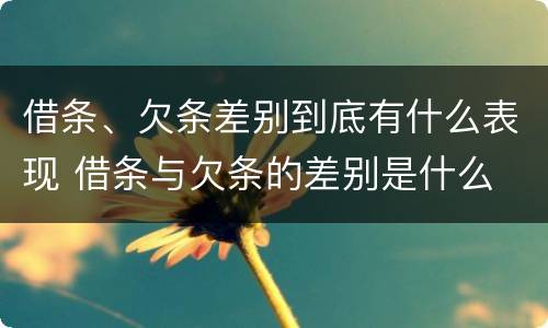 借条、欠条差别到底有什么表现 借条与欠条的差别是什么